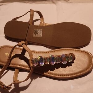 Shoe's
